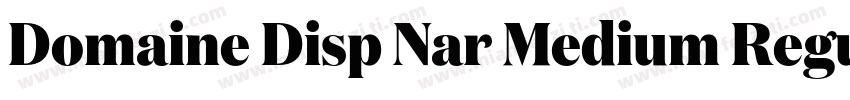 Domaine Disp Nar Medium Regular字体转换